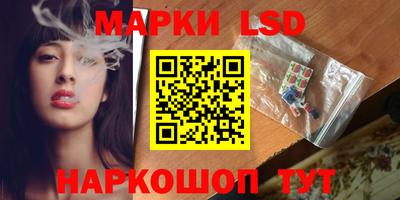 шишки Братск
