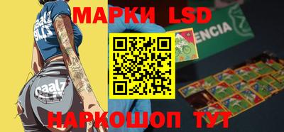 шишки Братск