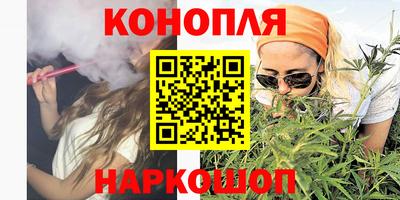 шишки Братск
