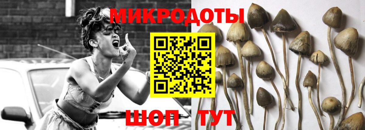 Галлюциногенные грибы мицелий Коломна