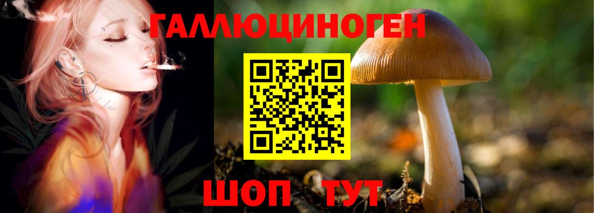 Галлюциногенные грибы ЛСД  купить наркоту  Коломна  Вход с VPN 